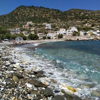 Traditional Family House