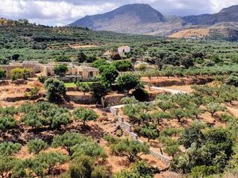 Agroturismo Petrakis Cretan Homes