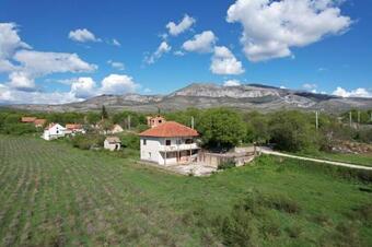 Apartamento Golden Flowers