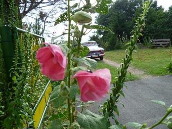 Apartamento Ferienwohnung N�he Dahme/mark