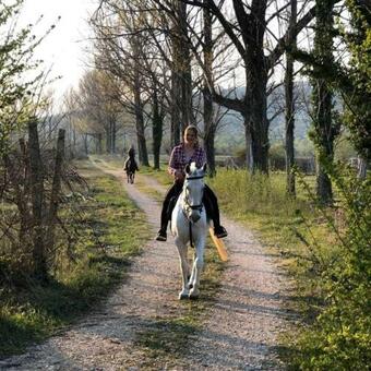 Holiday House Buljanovi Dvori With Private Pool