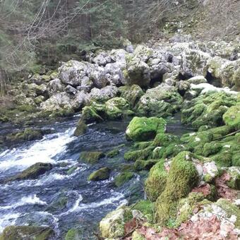 My Way Apartman I Sobe