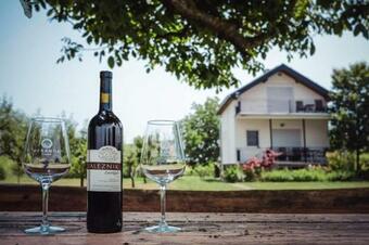 Holiday House With A Parking Space Sarengrad, Slavonija - 19338