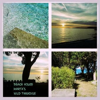 Beach House Wild Paradise