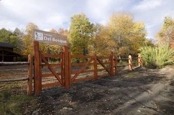 Caba�as Del Bosque