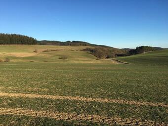 Hostal G�stehaus Doll