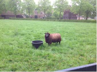 Apartamento De Rheezer Kamer