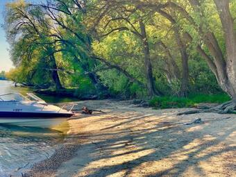 Nadi's Holiday Home ? Heart Of Woods, Szentendre Island