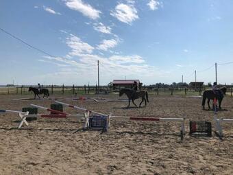 Bed & Breakfast Nefelejcs Ii. Panzi�