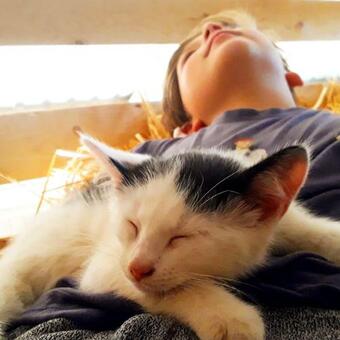 Apartamento Lindenhof