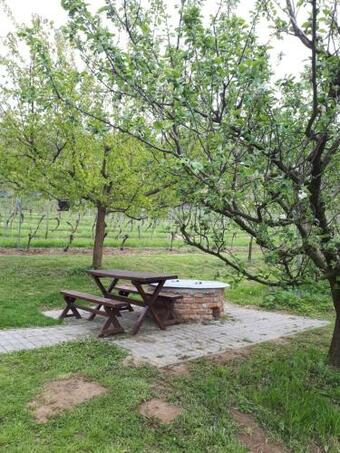 Apartamento K�knefelejcs Vend�gh�z