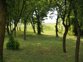 Hotel Pannonia Terranova B&B