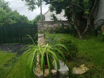 Andante Vend�gh�z