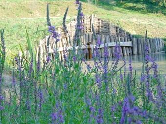 �den Park V�zv�r