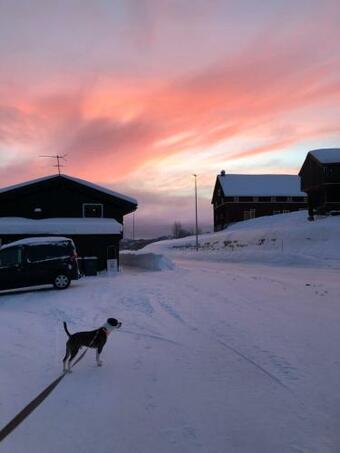 Apartamento Malenes Ferieleiligheter
