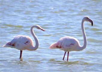 Apartamento The Greenery