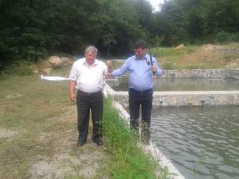 Hostal Pensiunea Limpedea