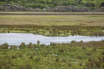 Otway Coastal Villas