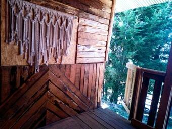 Diente De Le�n Caba�a R�stica