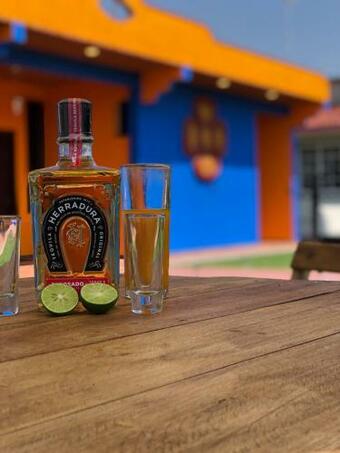 Hostal Hotel Boutique El Tr�bol