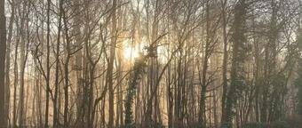 Ancienne Maison R�nov�e Au Calme