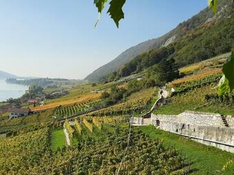 Apartamento La Petite Fleur