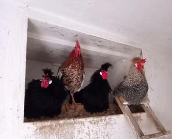 Apartm�n Na Statku