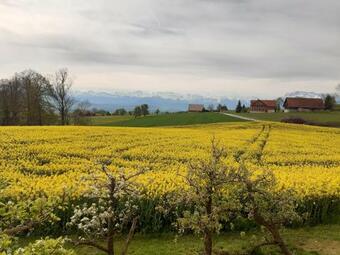 Bed & Breakfast Ferienzimmer Auf Dem Land