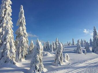 D?m A Chatka Pod Smrkem