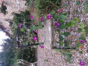 Bed & Breakfast Les Ch�telains