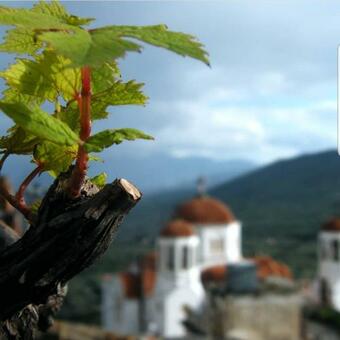 Apartamento Tsiboulas Cretan Cottage