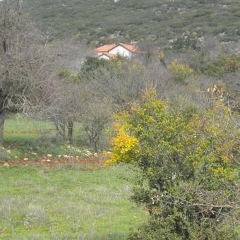 Stone House In A Quiet Landscape, Leonidion