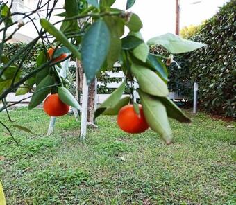 Nikola's 4 Season Apartment By The Sea And Airport