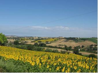Apartamento Il Giardino Degli Ulivi