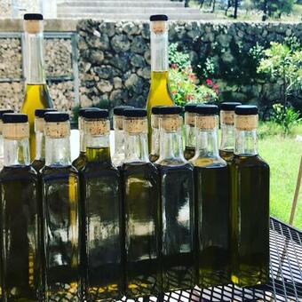 Hostal Wild Fig Retreat