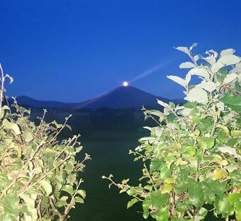 Apartamento Kj�rsvik �vre