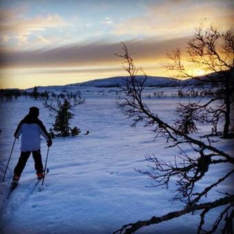 In The Middle Of Trysilfjellet - Welcome Center - Apartment With 3 Bedrooms - By Bike Arena And Ski Lift