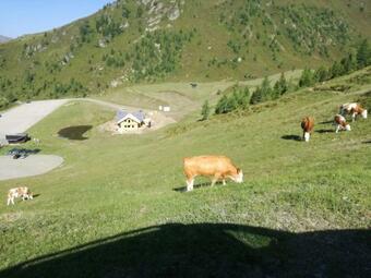 Posada Wieser H�tte