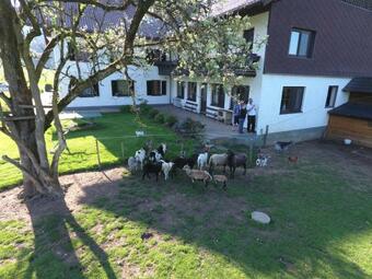 Agroturismo Pension Zenzlgut