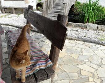 Apartamento Helis Ranch