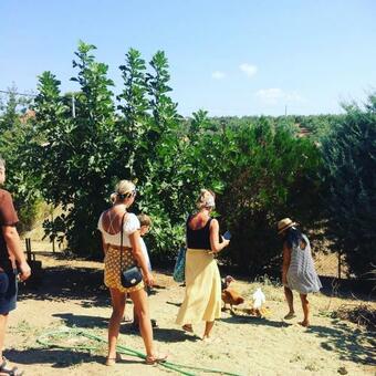 The Adam's Studio In Oropos