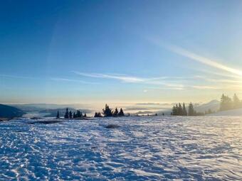 Apartamento Vl-wohnen Alpin Estate