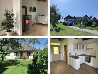 Apartamento Urlaub Im Weingarten