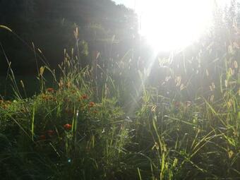 Ferienhaus Grabenhansl