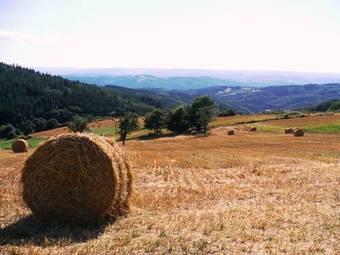 Bed & Breakfast Le Grand Trianon
