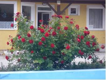 Tulipan Bungalow Camping Resort