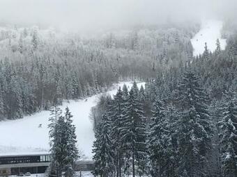 Ferienhaus Grobauer II