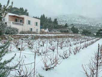 Hostal Hikers Inn By The Pini Vineyards Of Karpathos