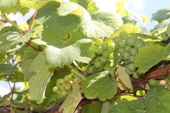 Bed & Breakfast Chambres D'h�tes Arnold