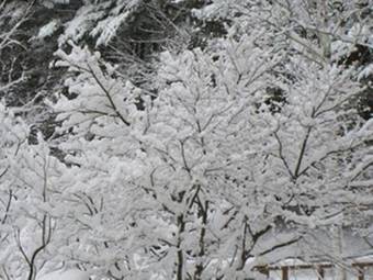 Yatsugatake Hotel Fuuka